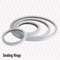 Seal Ring Image